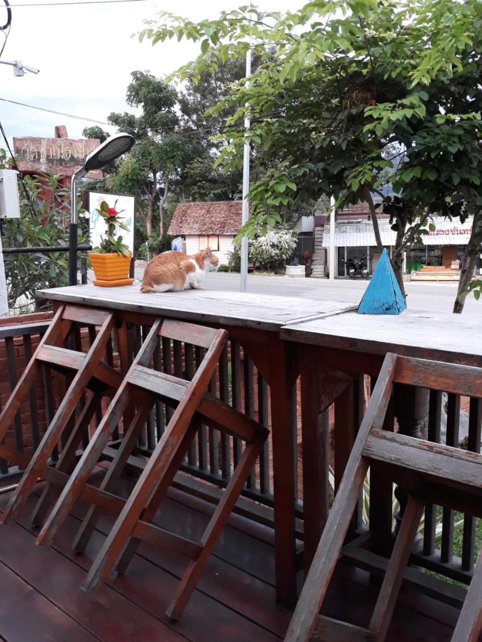 ปอ อา ยอ รีสอร์ท Pai Extérieur photo
